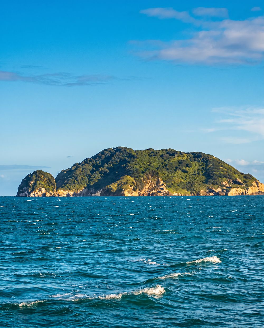 Ilha dos Currais